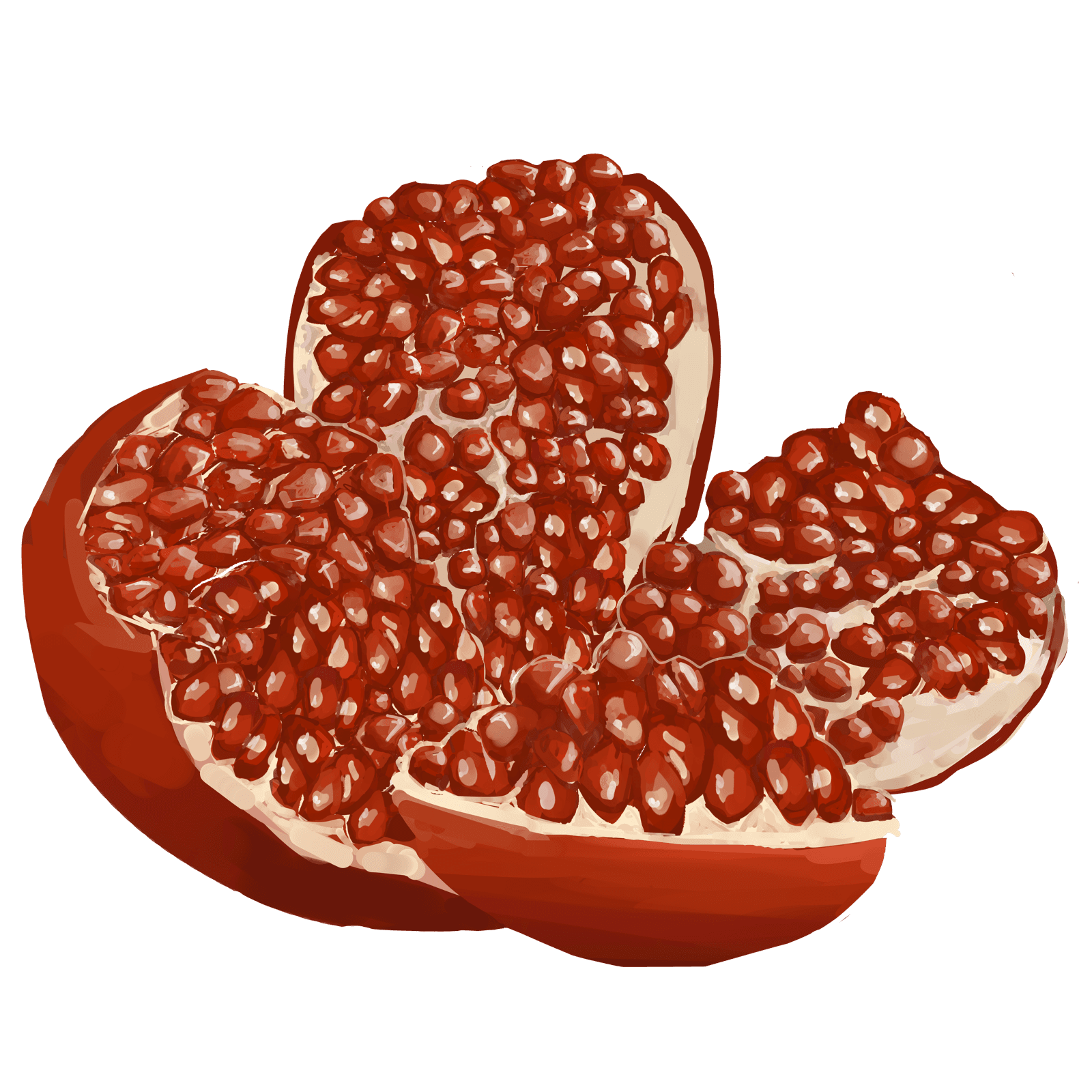 A pomegranate burst open